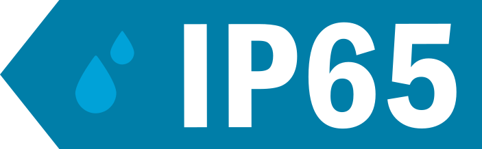 IP 65