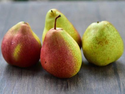 Hrušeň 'Pstružka'  Pyrus communis 'Pstružka'