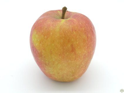 Jabloň 'Bláhovo Oranžové'  Malus domestica 'Bláhovo Oranžové'