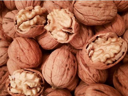 Ořešák královský 'Chandler' - kontejner  Juglans regia 'Chandler'