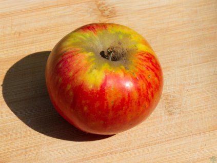 Jabloň 'Božena Němcová'  Malus domestica 'Božena Němcová'
