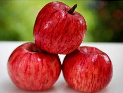 Jabloň 'Kirchwaldenské'  Malus domestica 'Kirchwaldenské'