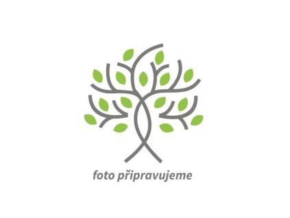 foto p�ipravujeme