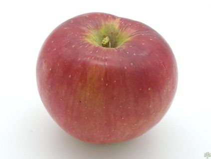 Jabloň 'Rajka' - kontejner  Malus domestica 'Rajka'