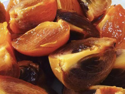 Kaki 'Chioccolatino' - kontejner  Diospyros kaki 'Chioccolatino'