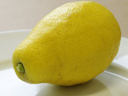 Citroník 'Zagara Bianca'  Citrus limon 'Zagara Bianca'