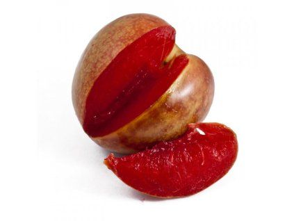 Švestkomeruňka 'Flavor Supreme' - kontejner  Prunus hybrid. 'Flavor Supreme'