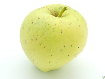 Jabloň 'Krasokvět Žlutý' - kontejner  Malus domestica 'Krasokvět Žlutý'