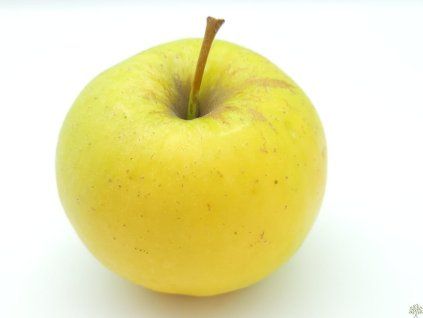 Jabloň 'Sirius' - kontejner  Malus domestica 'Sirius'