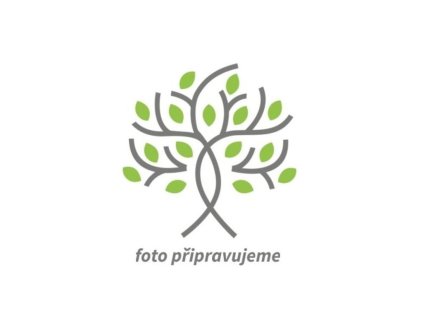 Hortenzie velkolistá 'Showtime' PBR  Hydrangea macrophylla 'Showtime' PBR