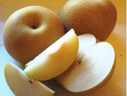 Asijská hrušeň 'New Arirang'  Pyrus pyrifolia 'New Arirang'