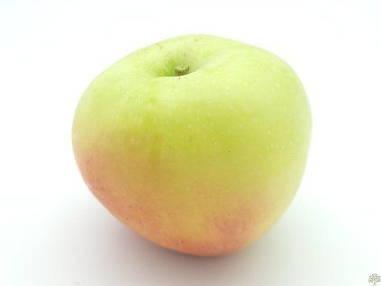 Jabloň 'Banánové zimní'  Malus domestica 'Banánové zimní'