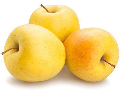 Jabloň 'Golden Delicious'  Malus domestica 'Golden Delicious'