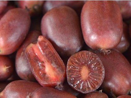 Kiwi 'Scarlet September'  Actinidia arguta 'Scarlet September'