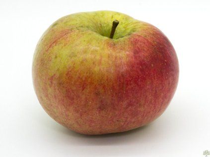 Jabloň 'Beforest'  Malus domestica 'Beforest'