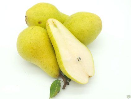 Hrušeň 'Armida'  Pyrus communis 'Armida'