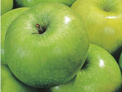 Jabloň sloupovitá 'Zelenij Dragul'  Malus domestica 'Zelenij Dragul'