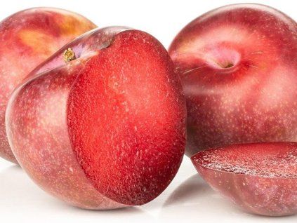 Švestkomeruňka 'Krasnaja Strela'  Prunus x hybrid 'Krasnaja Strela'