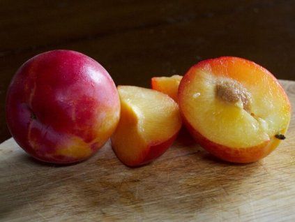 Švestkomeruňka 'Pluot Geltiy'  Prunus x hybrid 'Pluot Geltiy'