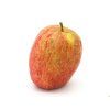 Jabloň 'Řehtáč soudkovitý'  Malus domestica 'Řehtáč soudkovitý'