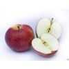 Jabloň 'Spartan'  Malus domestica 'Spartan'