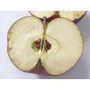 Jabloň 'Běloruské malinové' - kontejner  Malus domestica 'Běloruské malinové'