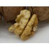 Ořešák 'Mars' - kontejner  Juglans regia 'Mars'