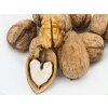 Ořešák 'Bohumil' - kontejner  Juglans regia 'Bohumil'