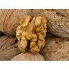 Ořešák 'Jupiter' - kontejner  Juglans regia 'Jupiter'
