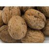Ořešák 'Jupiter' - kontejner  Juglans regia 'Jupiter'