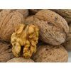 Ořešák 'Jupiter' - kontejner  Juglans regia 'Jupiter'