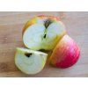 Jabloň 'Božena Němcová'  Malus domestica 'Božena Němcová'