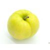 Jabloň 'Libovické zlaté'  Malus domestica 'Libovické zlaté'