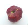 Jabloň 'Malinové hornokrajské' - kontejner  Malus domestica 'Malinové hornokrajské'