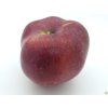 Jabloň 'Malinové hornokrajské' - kontejner  Malus domestica 'Malinové hornokrajské'