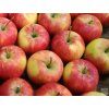 Jabloň 'Rubín'  Malus domestica 'Rubín'