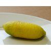 Australský citrus 'Faustrime'  Citrus grandis 'Faustrime'