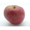 Jabloň 'Bláhova Reneta'  Malus domestica 'Bláhova Reneta'
