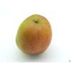 Jabloň 'Cornwallské hřebíčkové'  Malus domestica 'Cornwallské hřebíčkové'
