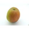 Jabloň 'Cornwallské hřebíčkové'  Malus domestica 'Cornwallské hřebíčkové'