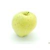Jabloň 'Krasokvět Žlutý'  Malus domestica 'Krasokvět Žlutý'