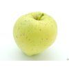 Jabloň 'Krasokvět Žlutý'  Malus domestica 'Krasokvět Žlutý'