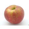 Jabloň 'Táborita'  Malus domestica 'Táborita'