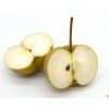 Asijská hrušeň 'Hosui' - kontejner  Pyrus pyrifolia 'Hosui'