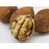 Ořešák 'Mars' - kontejner  Juglans regia 'Mars'
