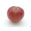 Jabloň 'Rajka' - kontejner  Malus domestica 'Rajka'