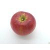 Jabloň 'Rajka' - kontejner  Malus domestica 'Rajka'