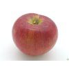 Jabloň 'Rajka' - kontejner  Malus domestica 'Rajka'
