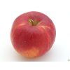 Jabloň 'Red Topaz' - kontejner  Malus domestica 'Red Topaz'