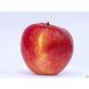 Jabloň 'James Grieve' - kontejner  Malus domestica  'James Grieve'